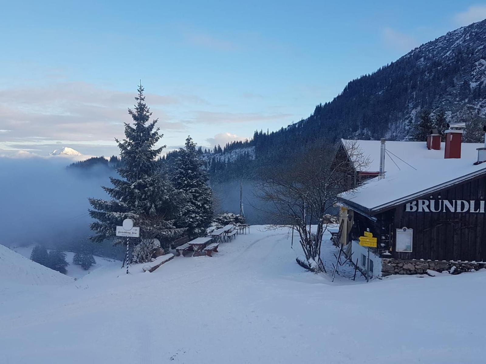 Bruendling-Alm Berggasthof Auf 1167M Auf Dem Hochfelln Otel Bergen  Dış mekan fotoğraf