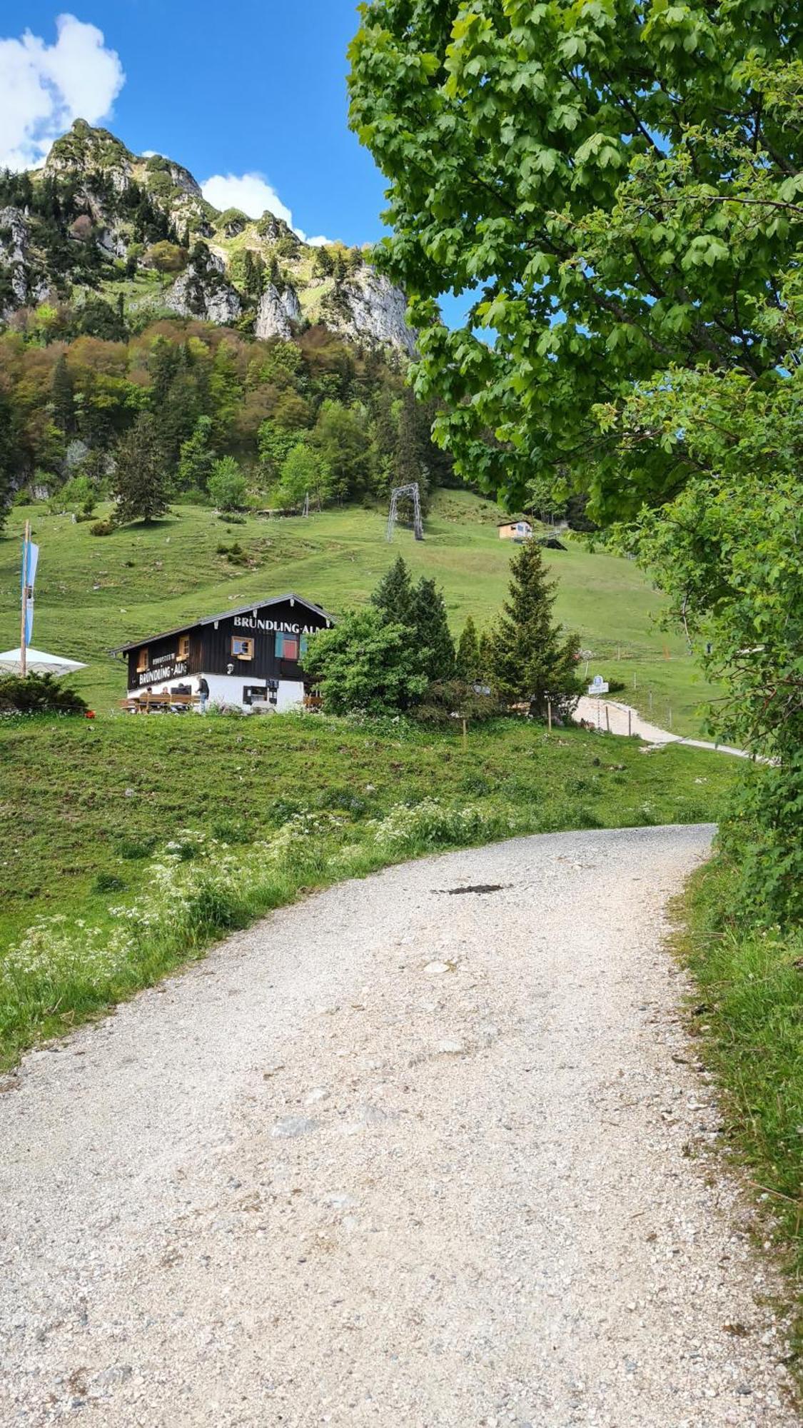 Bruendling-Alm Berggasthof Auf 1167M Auf Dem Hochfelln Otel Bergen  Dış mekan fotoğraf